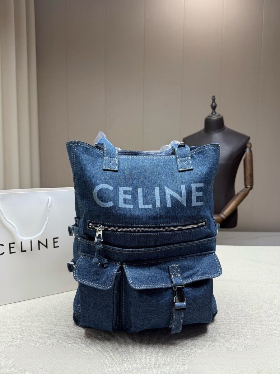 Celine Handbag 009