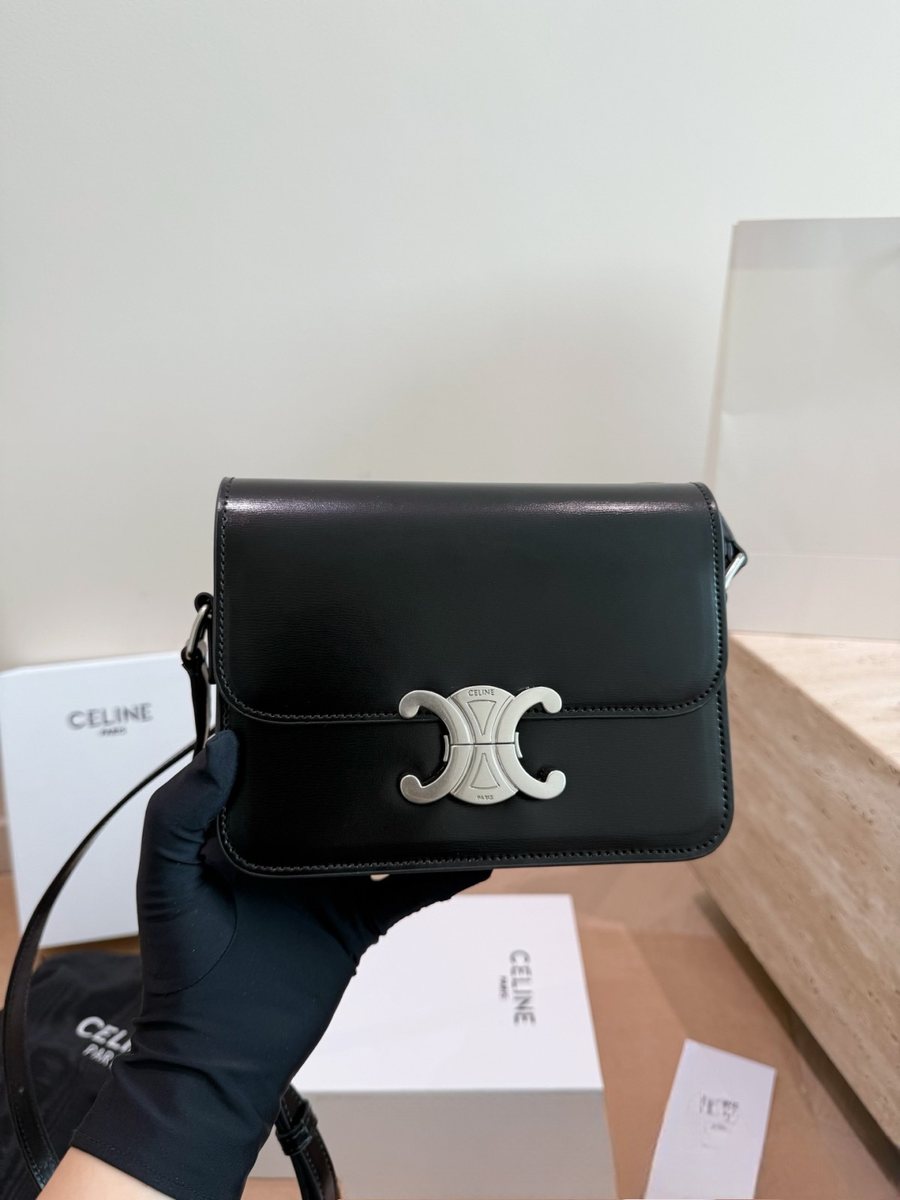 Celine Handbag 085
