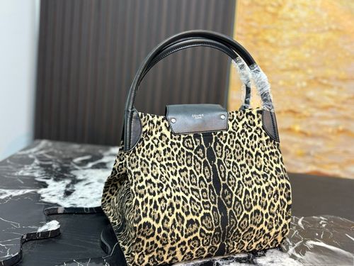 Celine Handbag 093