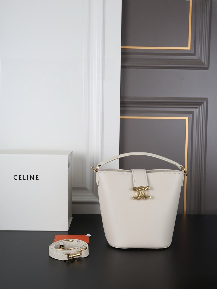 Celine Handbag 161