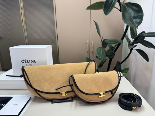 Celine Handbag 169