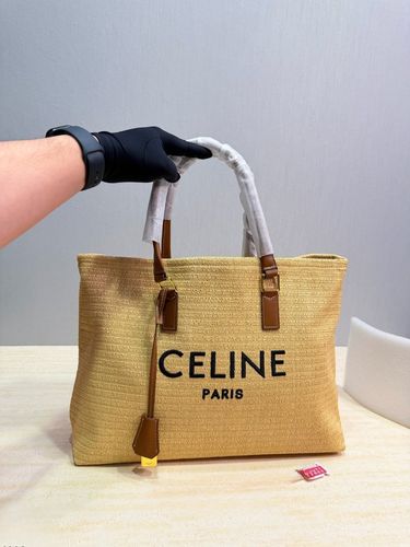 Celine Handbag 179