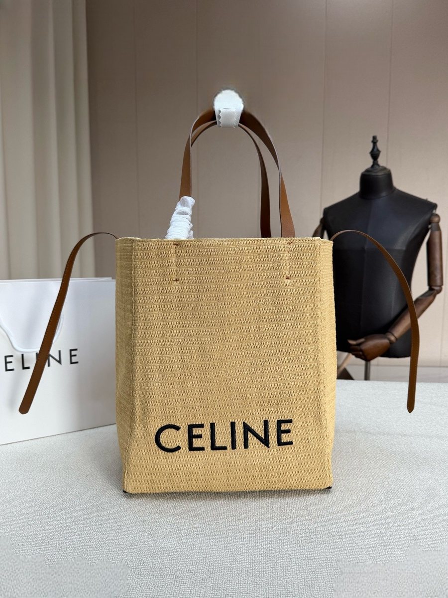 Celine Handbag 188