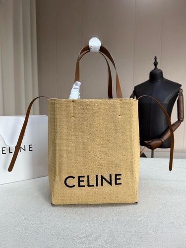 Celine Handbag 188