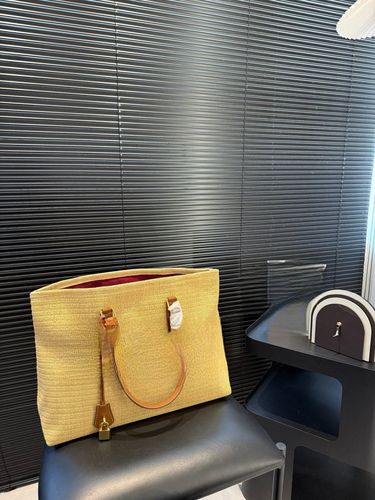 Celine Handbag 191