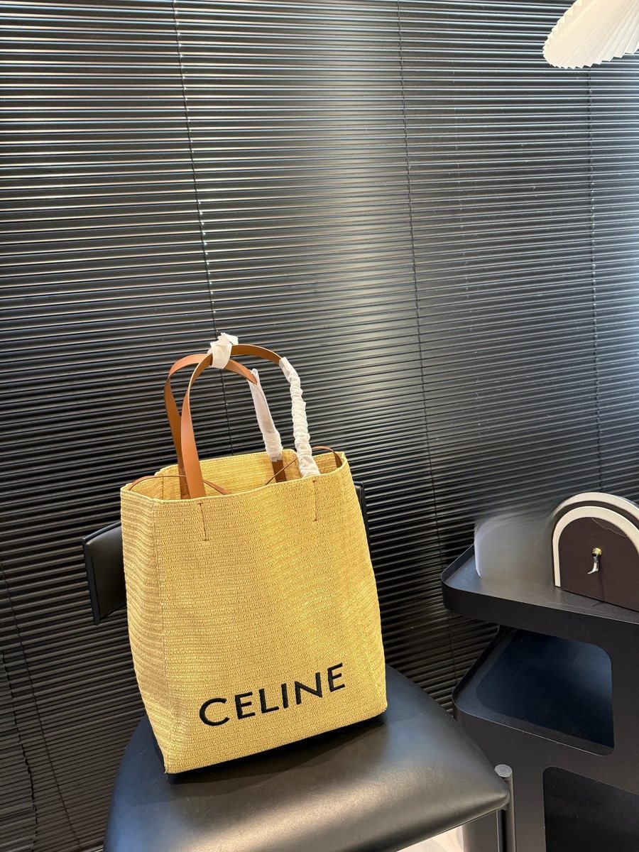 Celine Handbag 192