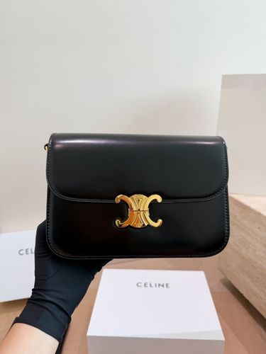 Celine Handbag 208