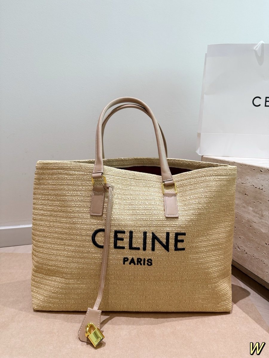 Celine Handbag 214