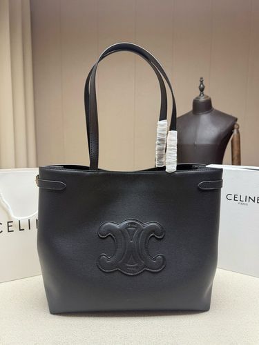 Celine Handbag 259