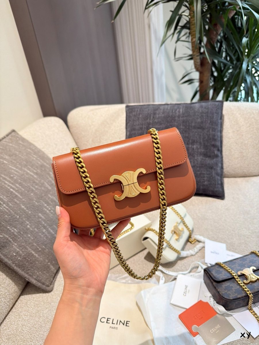 Celine Handbag 270