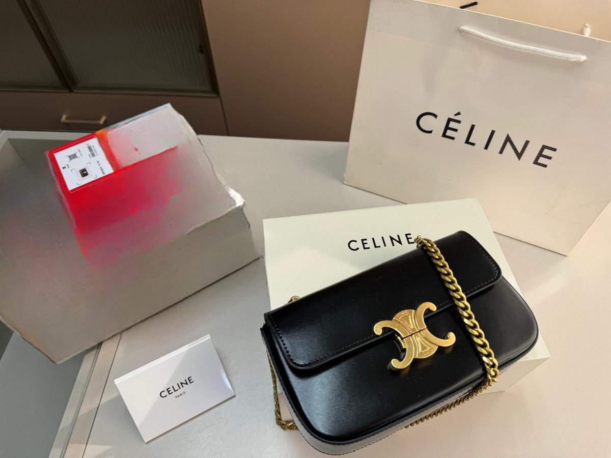 Celine Handbag 285