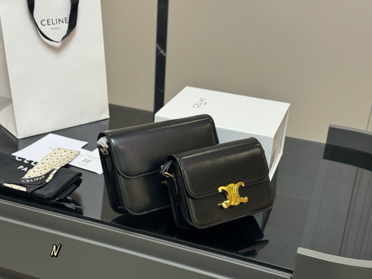 Celine Handbag 296