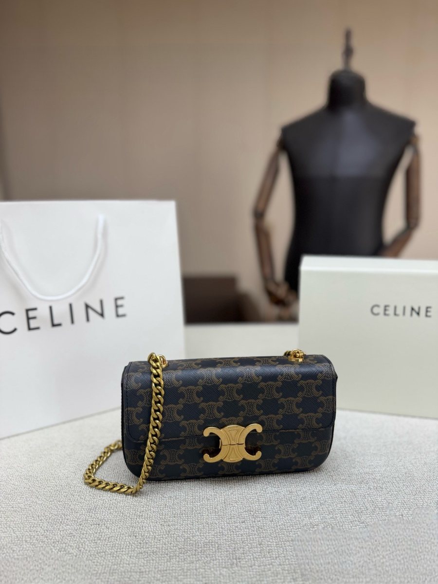 Celine Handbag 318