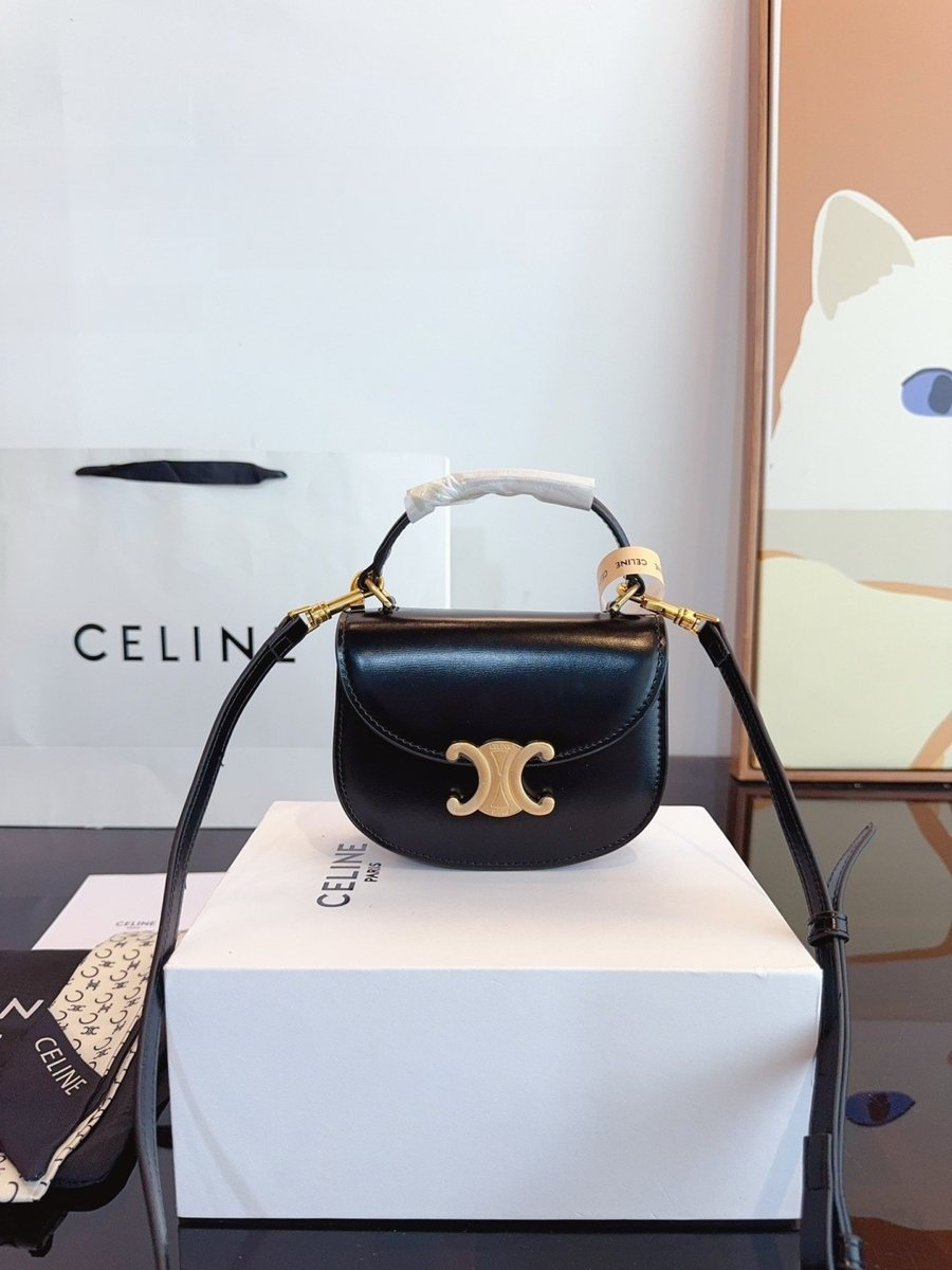Celine Handbag 353