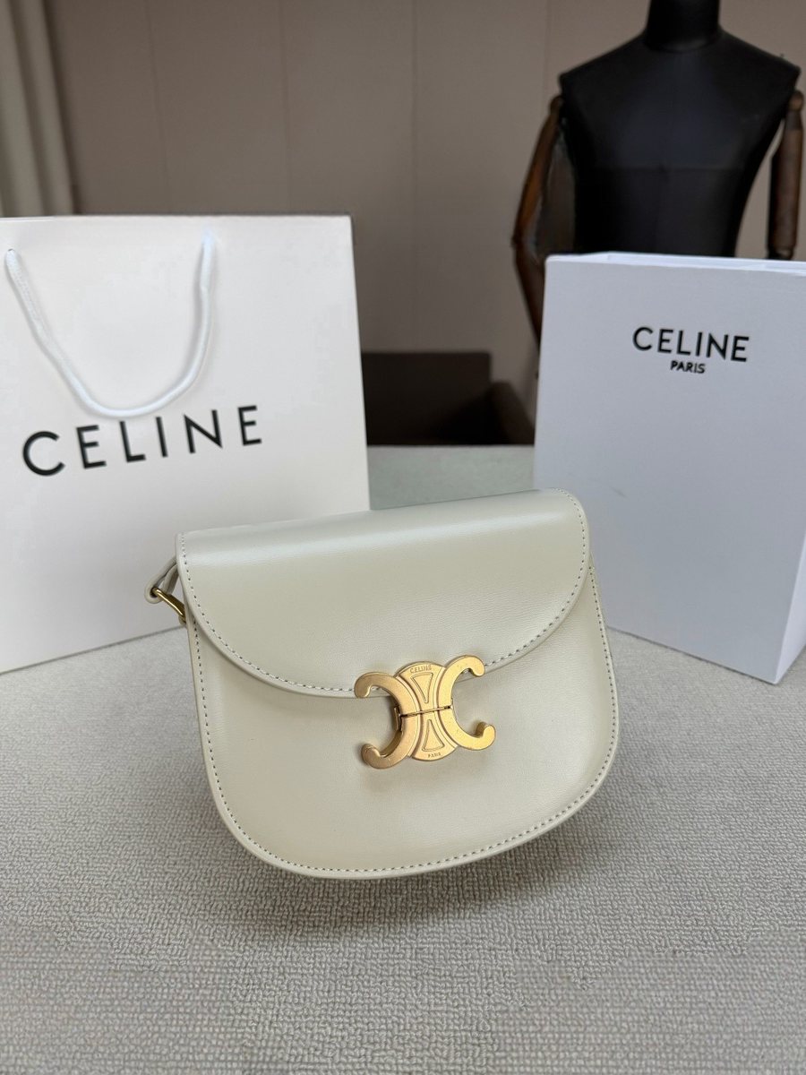 Celine Handbag 379