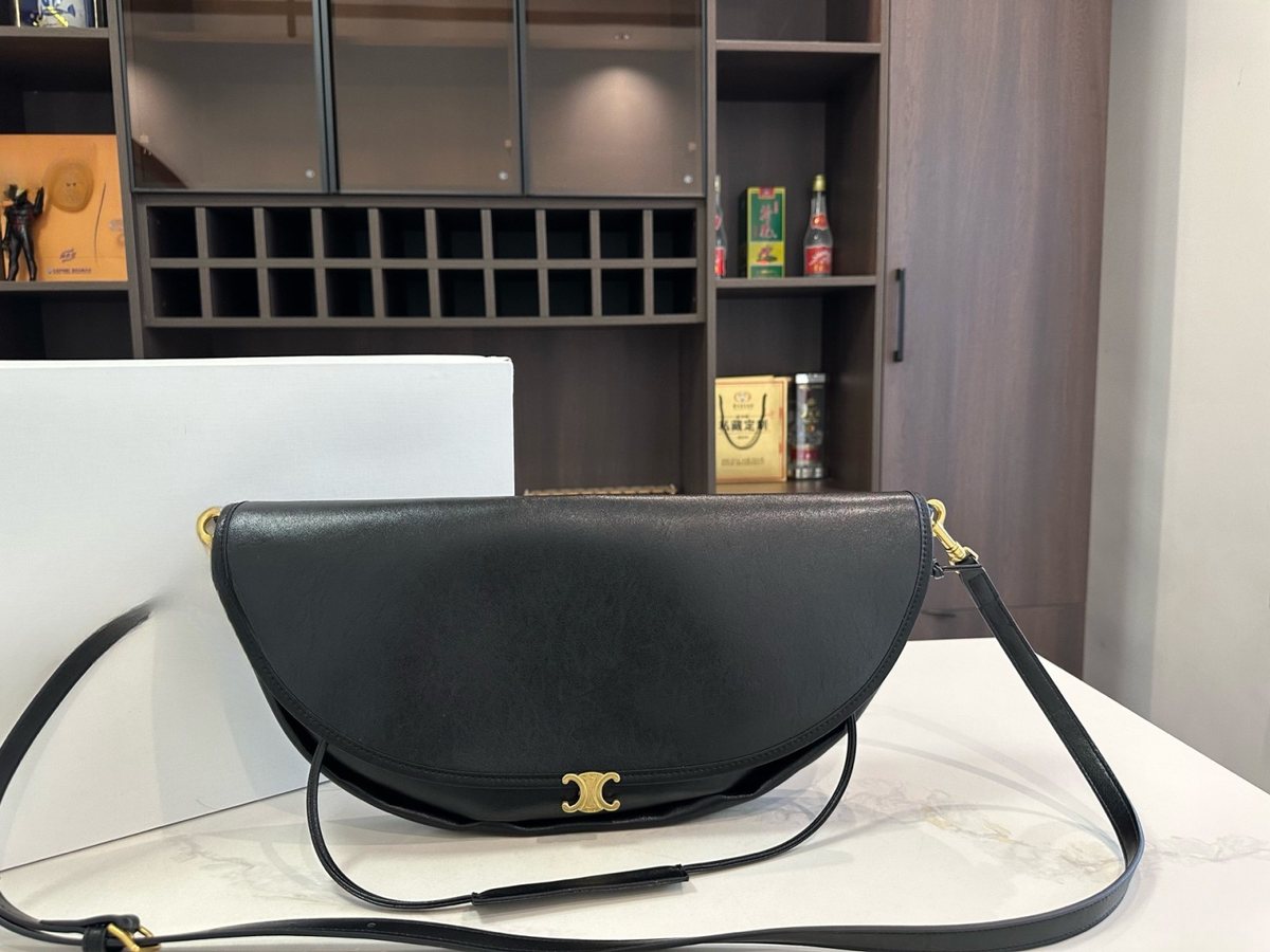 Celine Handbag 451