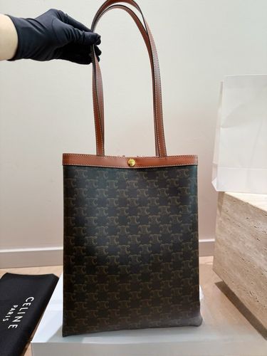 Celine Handbag 457