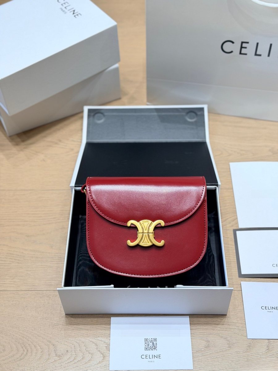 Celine Handbag 476