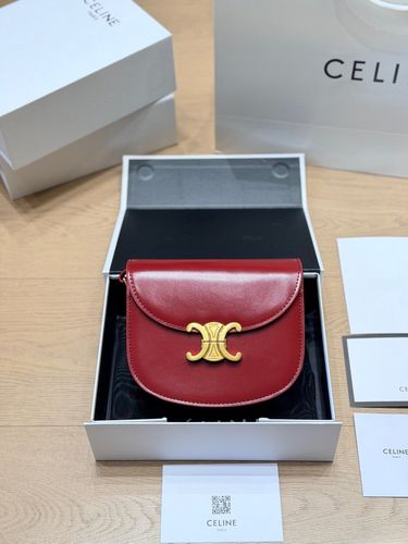 Celine Handbag 476