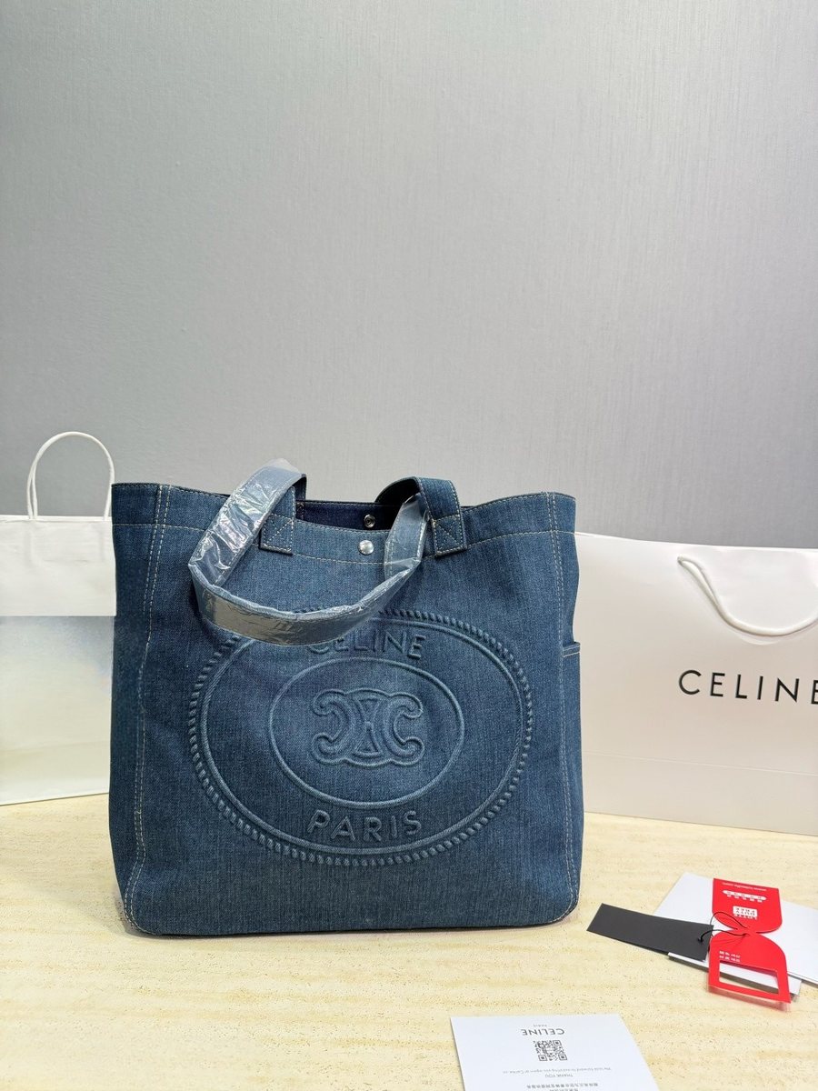 Celine Handbag 483