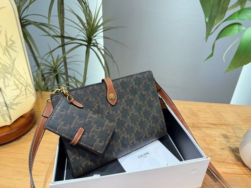 Celine Handbag 485