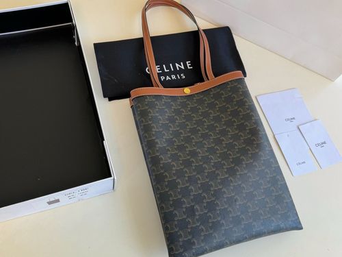 Celine Handbag 493