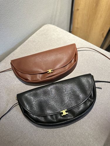 Celine Handbag 500