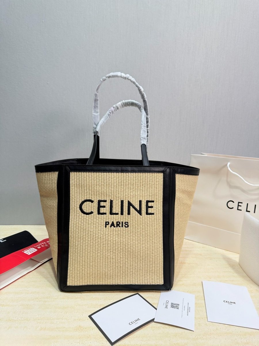 Celine Handbag 508