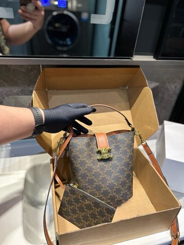 Celine Handbag 551