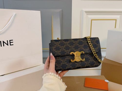 Celine Handbag 572