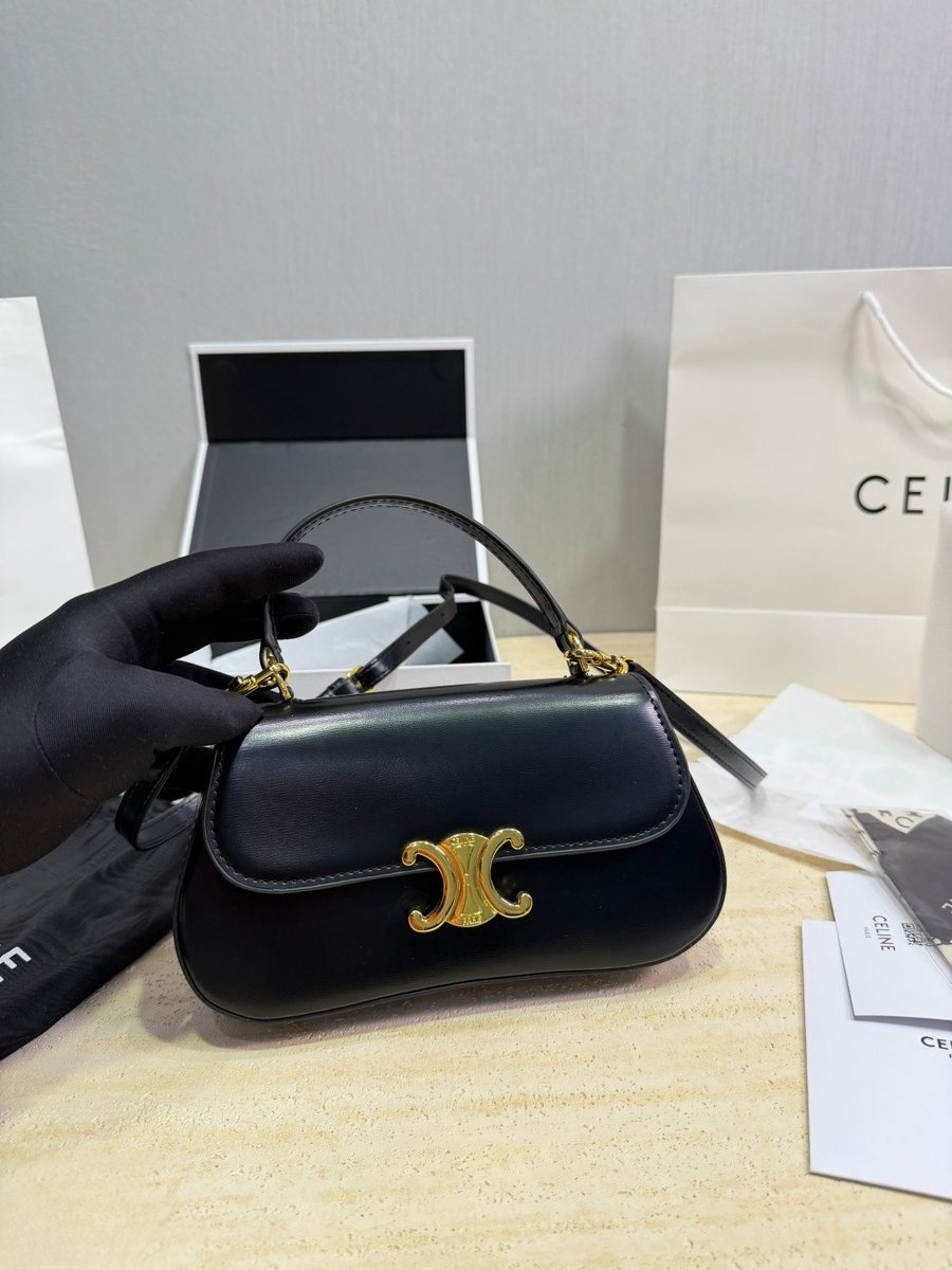 Celine Handbag 589