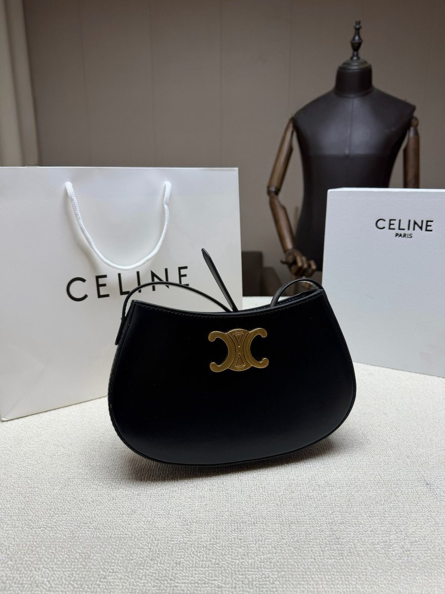 Celine Handbag 613