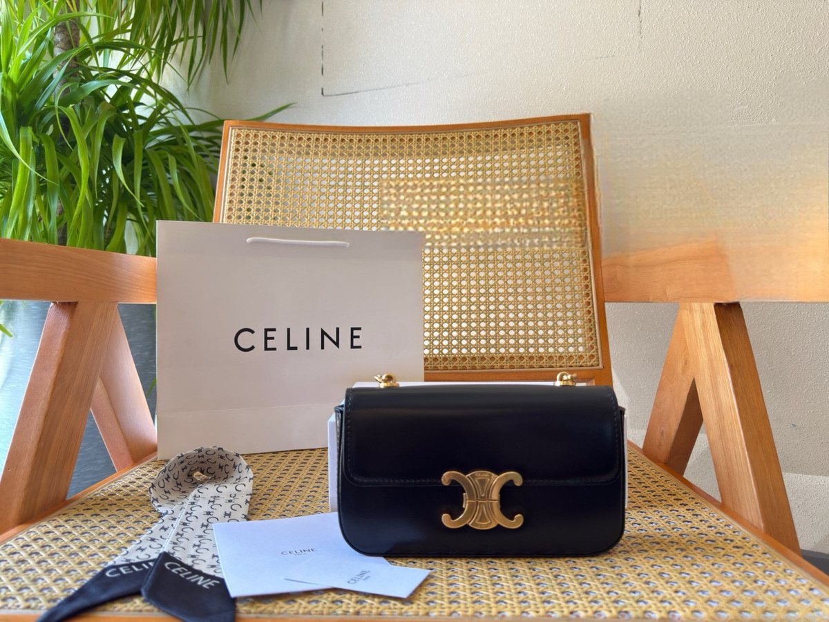 Celine Handbag 629