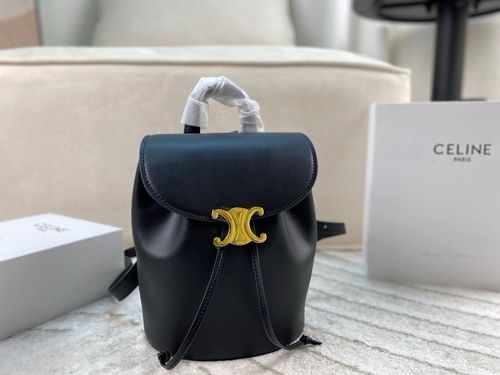 Celine Handbag 631