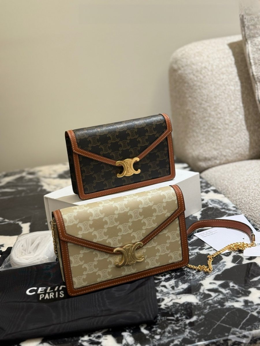 Celine Handbag 654