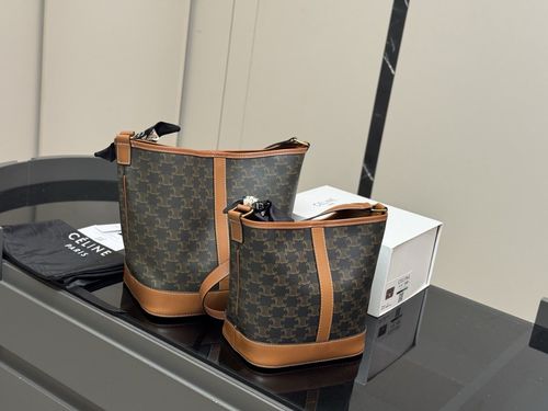 Celine Handbag 694