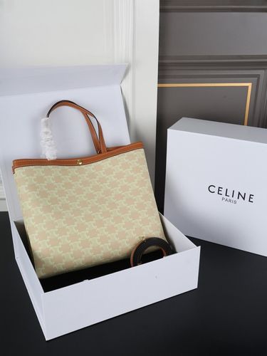 Celine Handbag 745