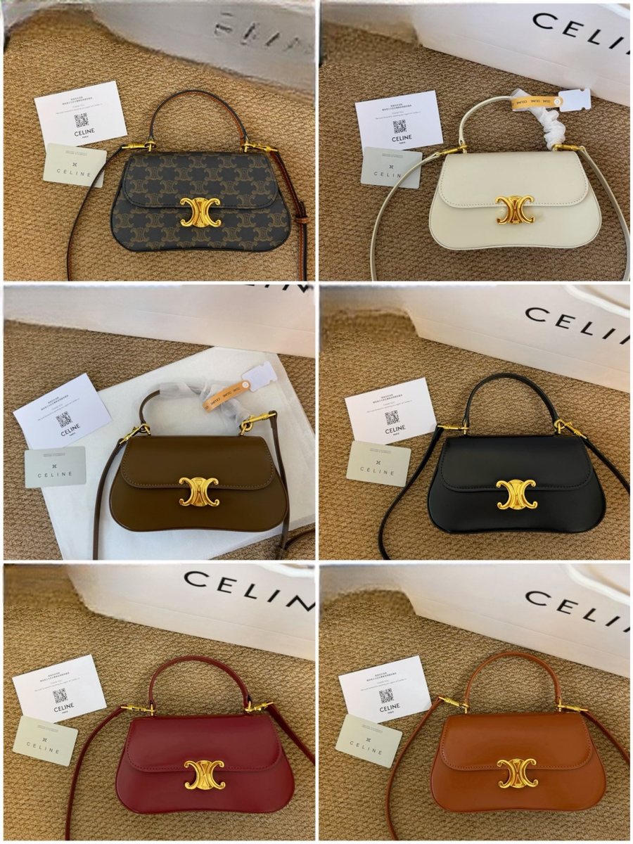 Celine Handbag 767