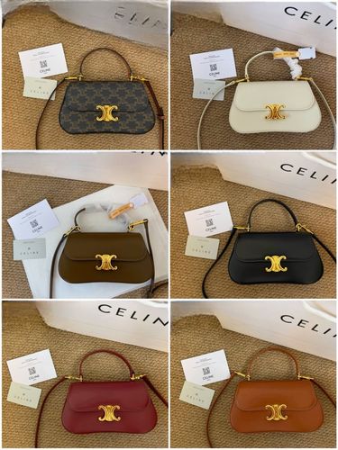 Celine Handbag 767