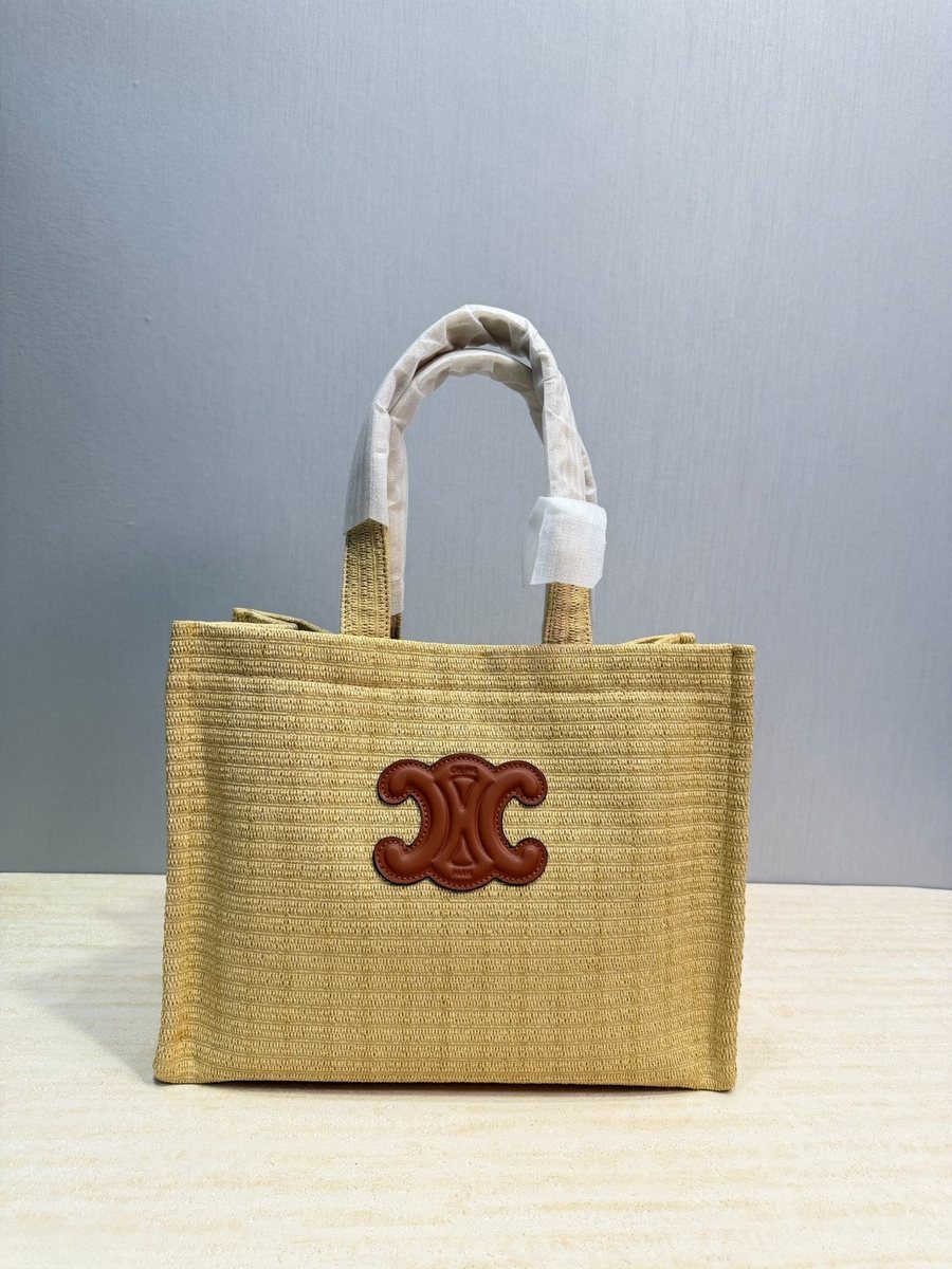 Celine Handbag 793