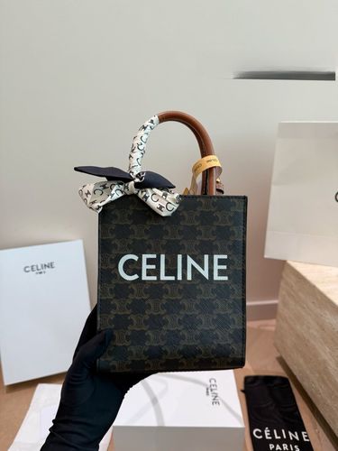 Celine Handbag 798