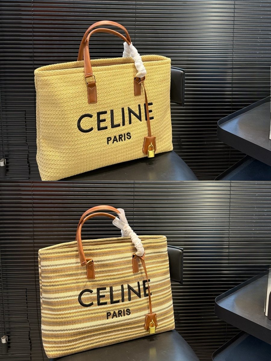 Celine Handbag 817
