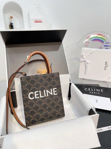 Celine Handbag 841