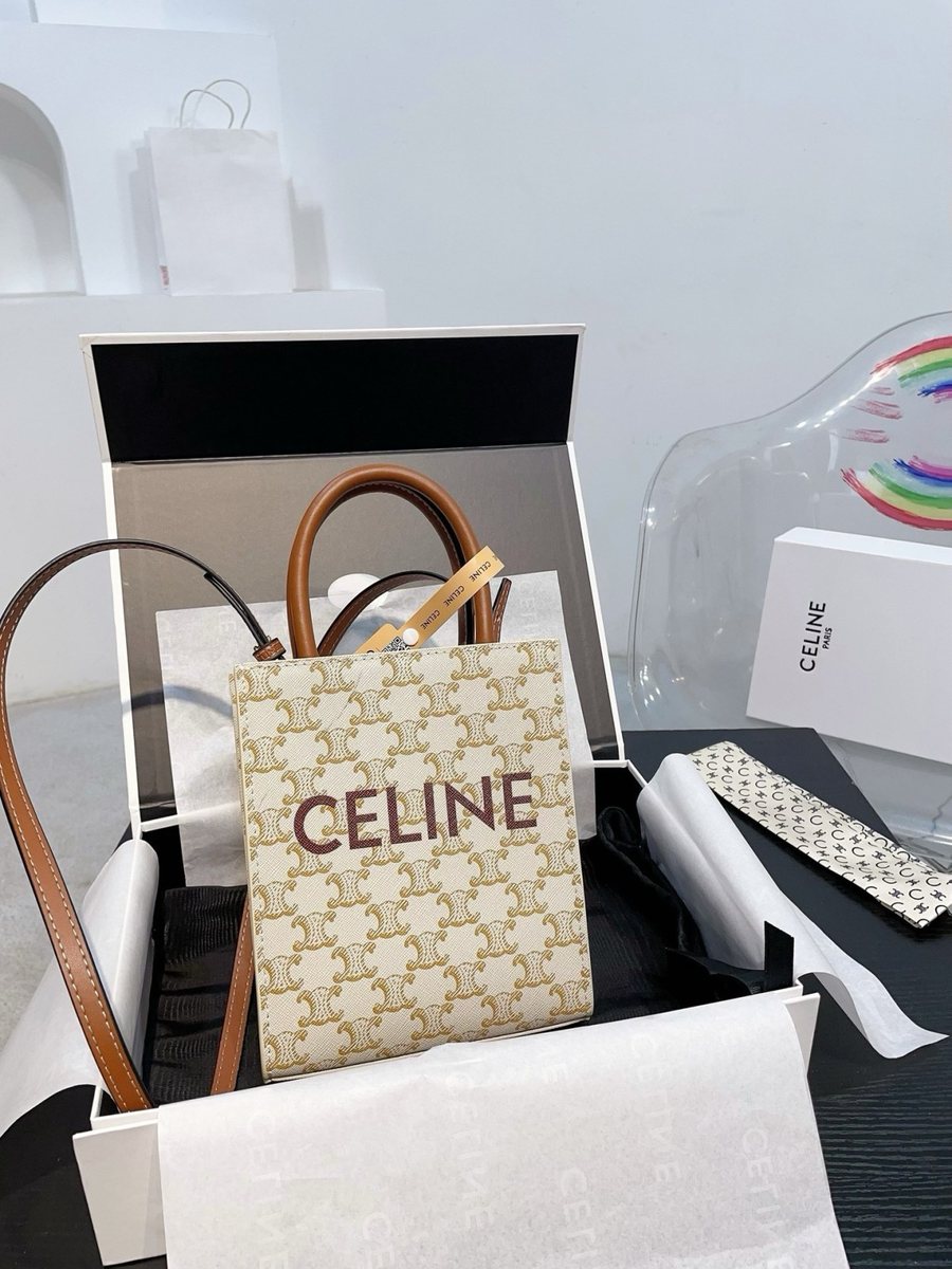 Celine Handbag 842