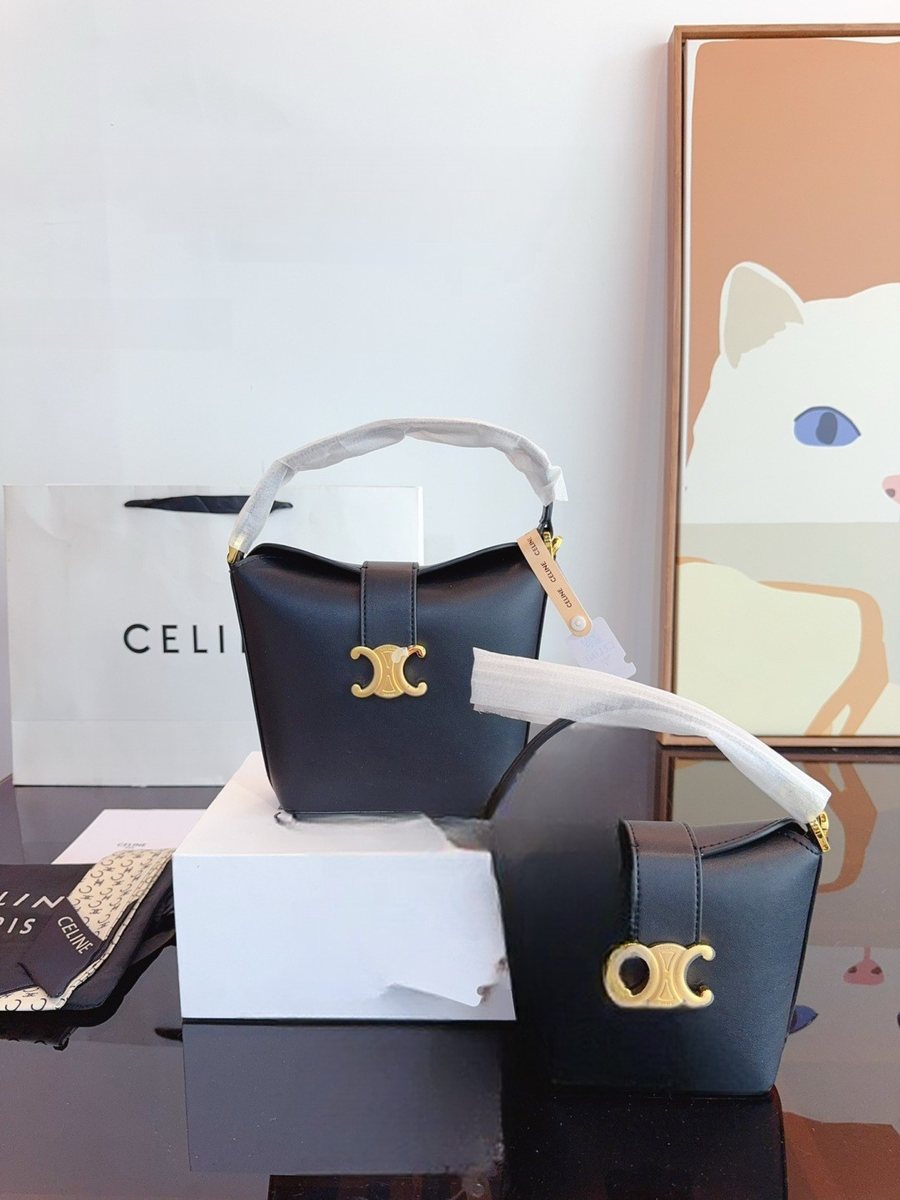 Celine Handbag 851