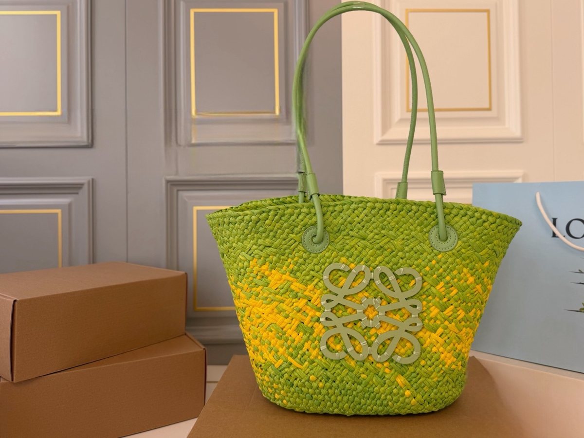 Loewe Handbag 074