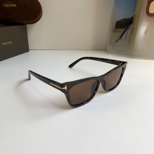 Sunglasses 245