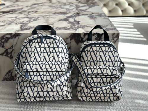 Valentino Handbag 074
