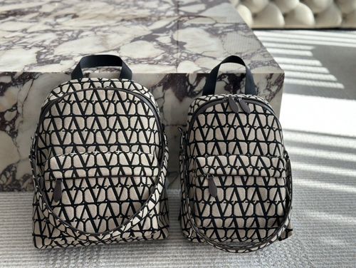 Valentino Handbag 077